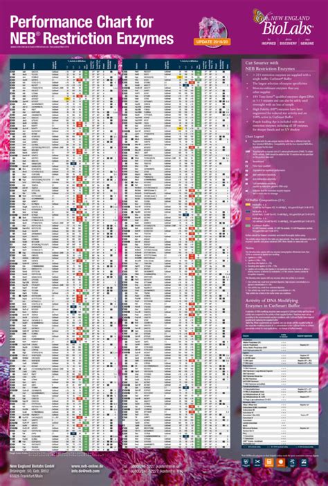 neb enzymes|restriction site finder.